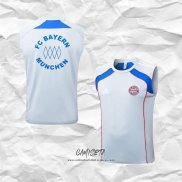 Camiseta de Entrenamiento Bayern Munich 2025-2026 Sin Mangas Gris