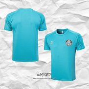 Camiseta de Entrenamiento Palmeiras 2023-2024 Verde