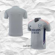 Camiseta de Entrenamiento Arsenal 2022-2023 Gris