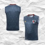Camiseta de Entrenamiento Sao Paulo 2025-2026 Sin Mangas Gris