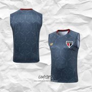 Camiseta de Entrenamiento Sao Paulo 2025-2026 Sin Mangas Gris