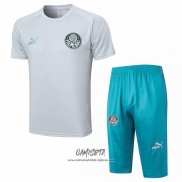 Chandal del Palmeiras 2023-2024 Manga Corta Gris - Pantalon Corto