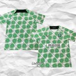 Camiseta de Entrenamiento Nigeria 2022 Verde