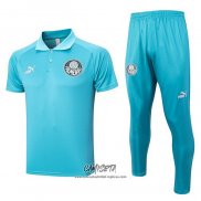 Conjunto Polo del Palmeiras 2023-2024 Verde