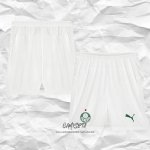 Primera Pantalones Palmeiras 2026