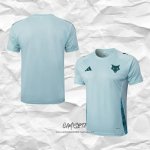 Camiseta de Entrenamiento Cruzeiro 2024-2025 Verde