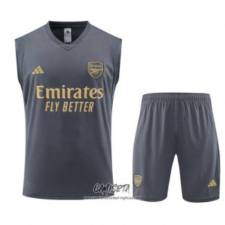 Chandal del Arsenal 2023-2024 Sin Mangas Gris