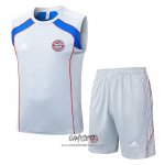 Chandal del Bayern Munich 2025-2026 Sin Mangas Gris