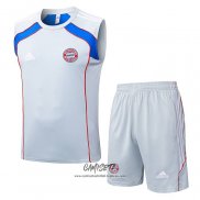 Chandal del Bayern Munich 2025-2026 Sin Mangas Gris