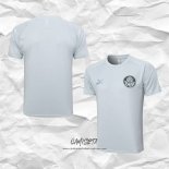 Camiseta de Entrenamiento Palmeiras 2023-2024 Gris