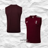 Camiseta de Entrenamiento Ajax 2025-2026 Sin Mangas Rojo