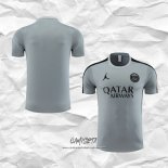 Camiseta de Entrenamiento Paris Saint-Germain Jordan 2023-2024 Gris