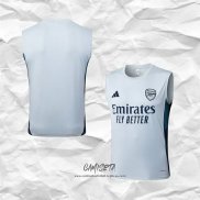 Camiseta de Entrenamiento Arsenal 2025-2026 Sin Mangas Gris