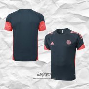 Camiseta de Entrenamiento Bayern Munich 2025-2026 Gris Oscuro