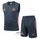 Chandal del Bayern Munich 2025-2026 Sin Mangas Gris Oscuro