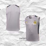 Camiseta de Entrenamiento Borussia Dortmund 2022 Sin Mangas Gris