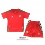 Primera Camiseta Gales 2024 Nino