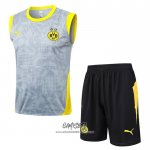 Chandal del Borussia Dortmund 2025-2026 Sin Mangas Gris