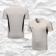 Camiseta de Entrenamiento Alemania 2022-2023 Gris