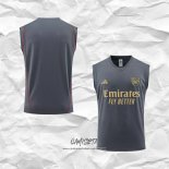 Camiseta de Entrenamiento Arsenal 2023-2024 Sin Mangas Gris