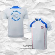 Camiseta de Entrenamiento Bayern Munich 2025-2026 Gris