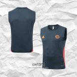 Camiseta de Entrenamiento Bayern Munich 2025-2026 Sin Mangas Gris Oscuro