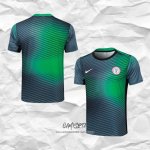 Camiseta de Entrenamiento Nigeria 2024-2025 Gris Verde