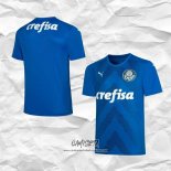 Primera Camiseta Palmeiras Portero 2022
