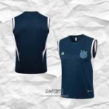 Camiseta de Entrenamiento Ajax 2023-2024 Sin Mangas Azul