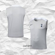 Camiseta de Entrenamiento Tottenham Hotspur 2025-2026 Sin Mangas Gris