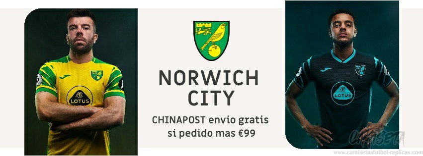 Camiseta Norwich City replica 21-22
